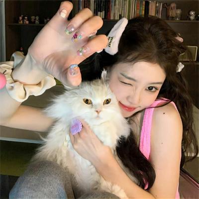 泰坦尼克沉没之迷